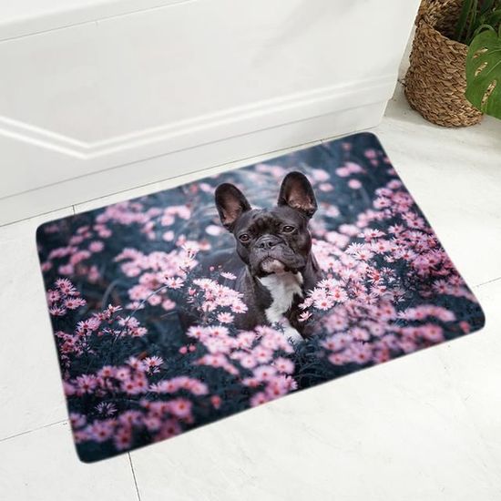 Paillasson Antidérapant Motif Jack Russell Terrier – 50x80 Cm (20x32 Inches) – Pour Entrée, Cuisine, Salle De Bain – Dos Anti-glisse