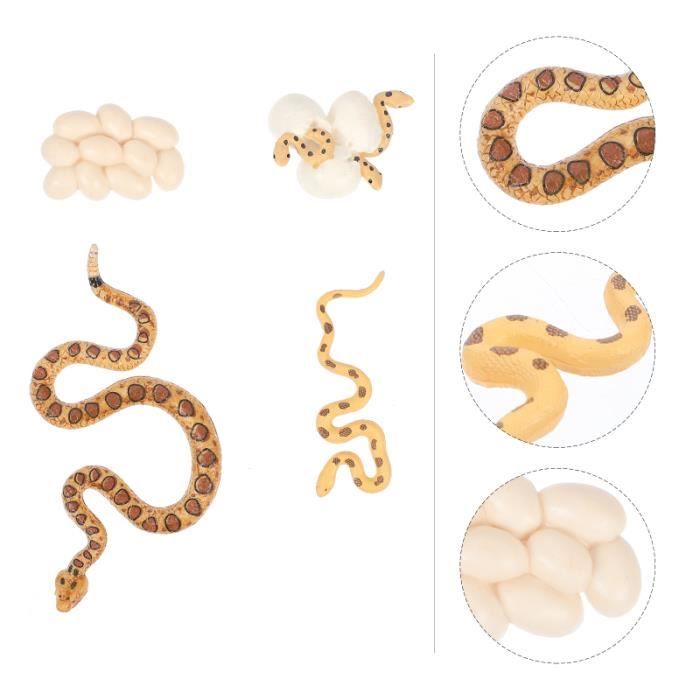 1 SET / 4PCS Courtlesnake Cognitive Jouets Modèle de croissance de sable coffret produits capillaires capillaire