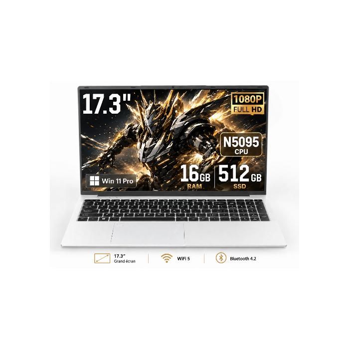 PC portable-17.3Intel Celeron N5095(4C/4TJusquà 29 GHz)16Go RAM DDR4 512Go SSDWindows 11PROWiFi5HDMI，Ordinateur Portable
