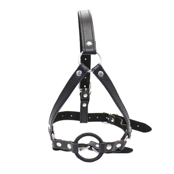 Haute qualité Cheval Bits Équipement Longue Shank Bouche en Acier Inoxydable Entraînement Ouest Bit 5 Pouces