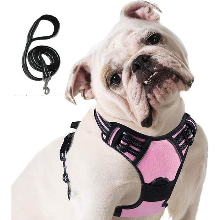 Meilleurs prix pour Harnais Chien L, Harnais Anti Traction pour Chien, Facile à Mettre, avec Poignée Contrôle, rouge Livré avec une corde de 1