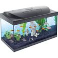 Aquarium TETRA Starter Line LED 54 L noir (Livré avec éclairage LED, filtre, chauffage, aliments et produits d'entretien)-2