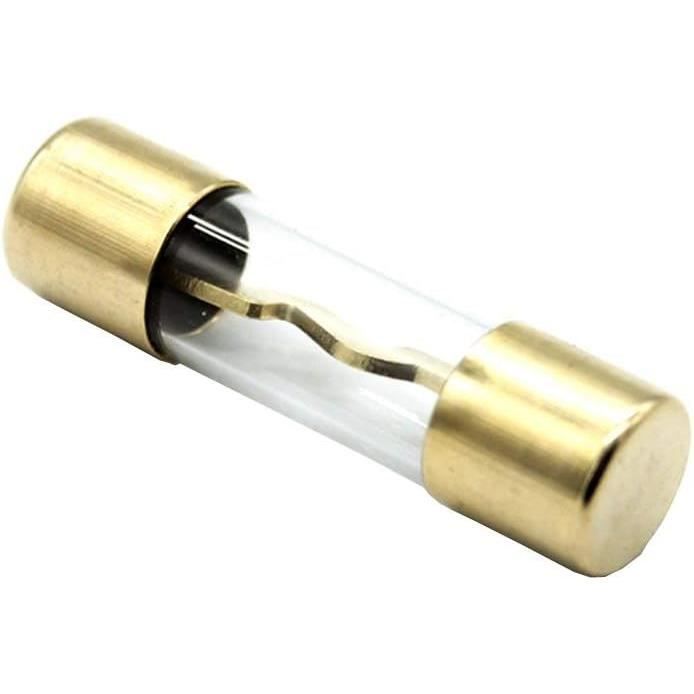 5 Fusibles AGU 100A Pour Voiture | Tube Verre Doré - Protection Audio, Circuit Électrique | 10x38mm