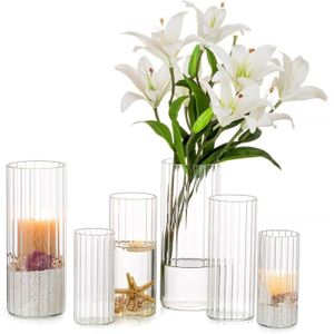 VASE - SOLIFLORE Vase en Verre pour Fleurs Cylindriques: 6 Vases À 
