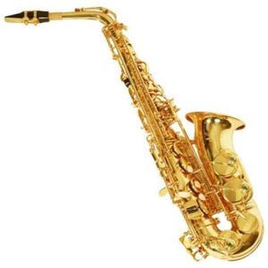 Sourdine de Saxophone Alto Rond 1pc Accessoire Premium Silencieux Saxophone Muet Sax Convient pour Le Saxophone Alto 