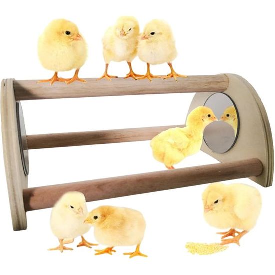 Perchoir en bois pour poussins à poser au sol