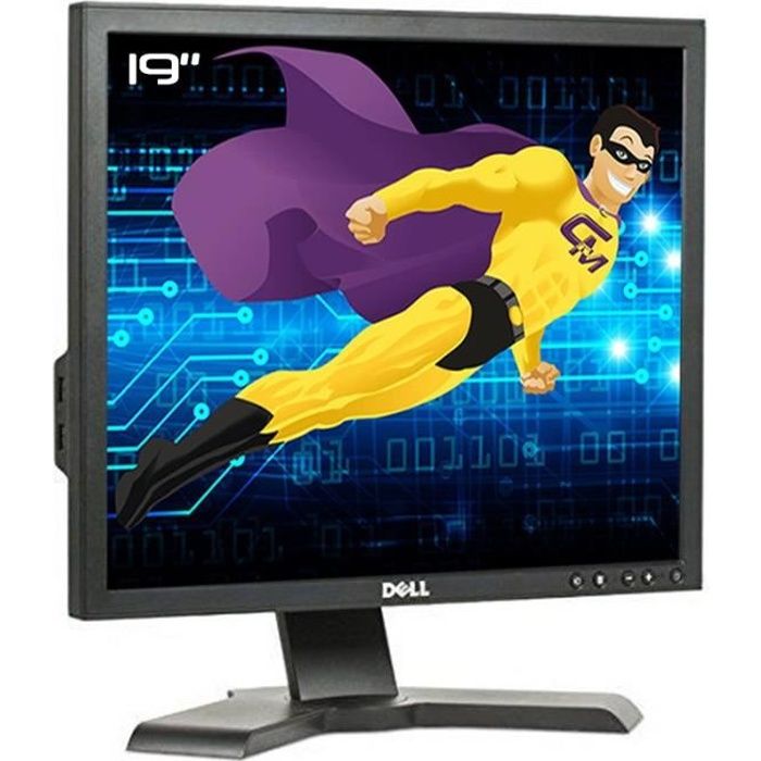 Ecran PC 19- Dell 1908FPt 0D310J D310J LCD TFT VGA DVI USB 4:3 1280x1024