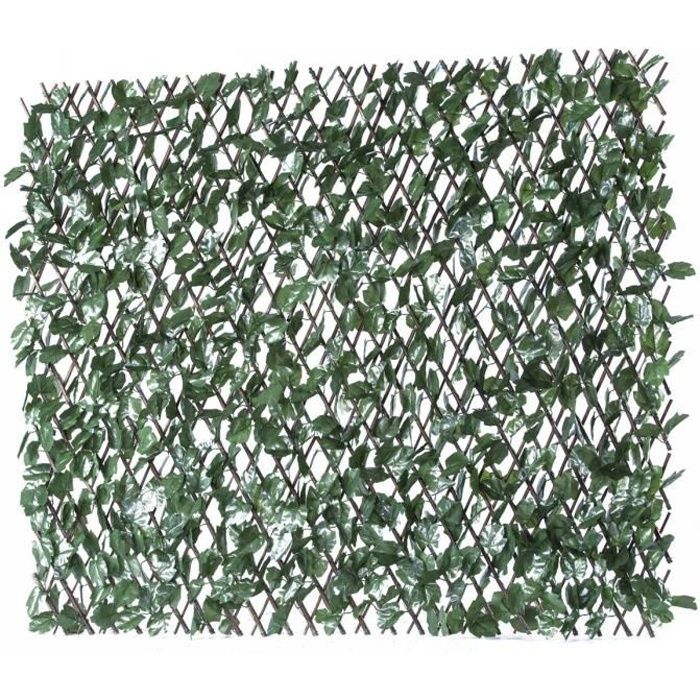 Clôture en treillis de saule "Fragon" - 200 x 100 cm - Vert