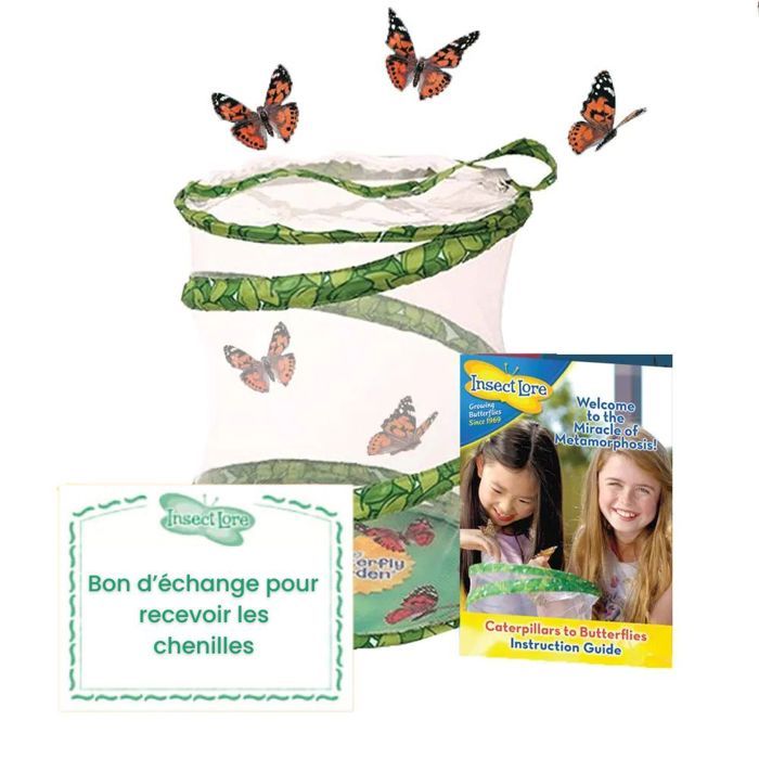 Comparer les prix de Kit délevage de papillons Pavillon - Bon pour chenilles