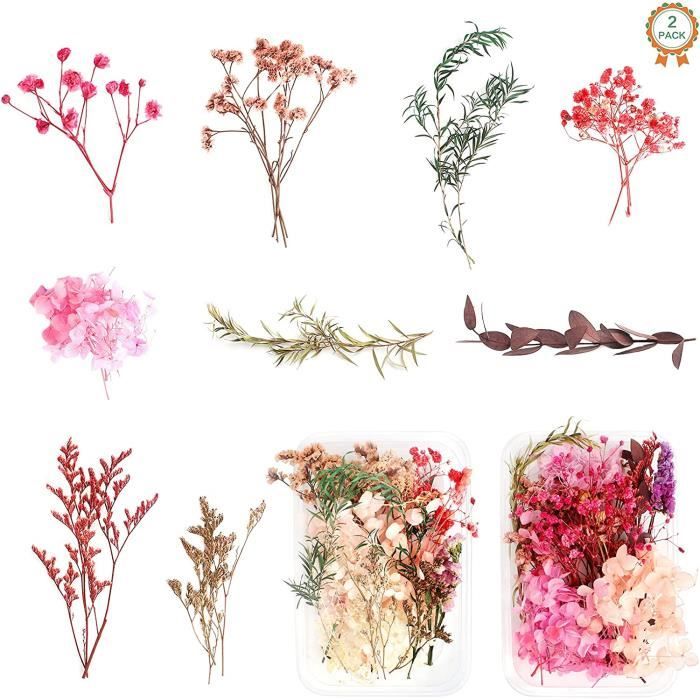 Vraies Fleurs Pressées Séchées 66 Pièces,SUPRROW Fleur Sechees Naturel