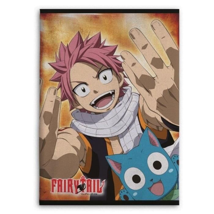 Plaid en polaire - Fairy Tail - Natsu & Happy - 100x140 cm - Doux et chaud