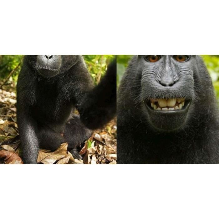 Lentilles Contact Couleur Bleues Blue 3tons 12 Mois Sans Correction Orthofrance Avec Etui Achat Vente Lentilles De Contact Cdiscount