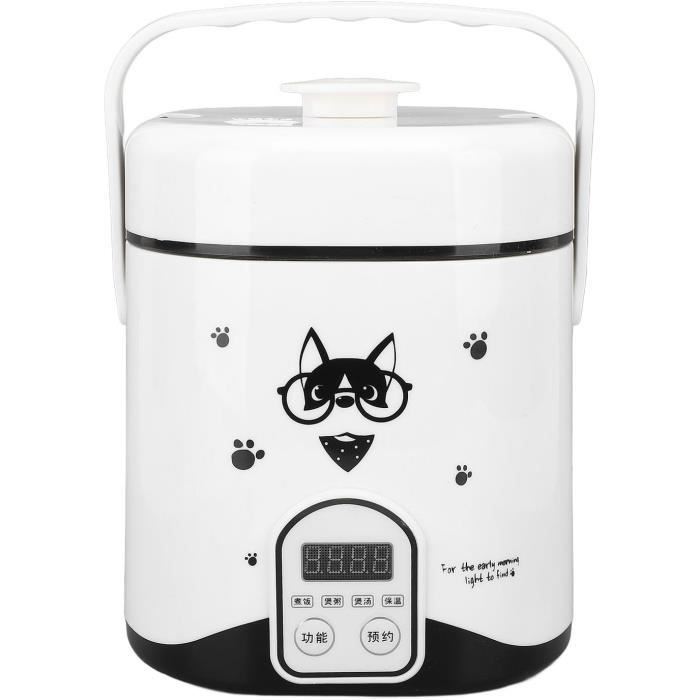 Asixxsix Boîte à Déjeuner électrique Sans Fil, 40 W Avec Récipient En