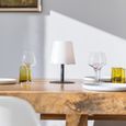 Lampe de table sans fil - LUMISKY - STANDY MINI Dark - H25 cm - Pied en acier noir - LED blanc chaud et blanc-3