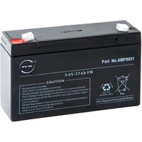 NX - Batterie plomb AGM S 6V-12Ah FR 6V 12Ah T2…