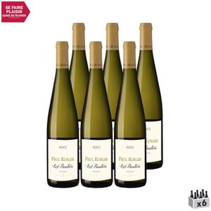 VIN BLANC Alsace Pinot Blanc Les Panetiers Blanc 2020 - Lot 