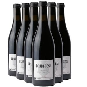 VIN ROUGE Bourgogne Pinot Noir Elevé en Jarre de Terre Rouge