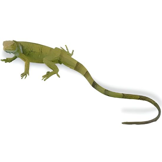 Iguane Vert Bebe Cdiscount Jeux Jouets Iguane Vert Bebe Cdiscount Jeux Jouets