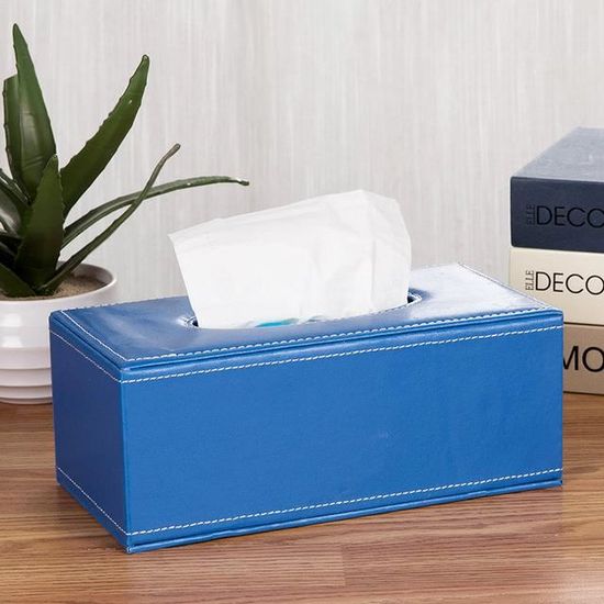 Boîte à Mouchoirs Vintage Déco - Design Amusant Femme - Plastique ABS - 25,5x13x9 Cm - Pour Bureau & Salon