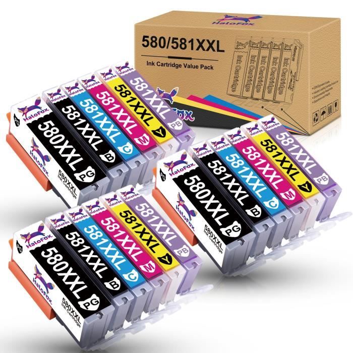 Cartouches D'Encre Compatibles Canon PGI-530XL CLI-531XL - Lot De 6 (Noir Pigment, Noir, Cyan, Magenta, Jaune, Gris) - 14