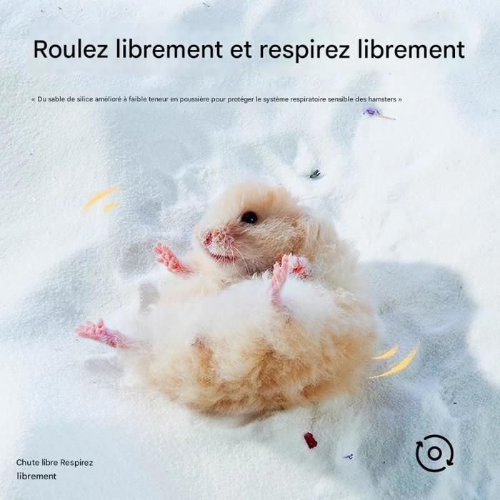 Comparer les prix de TERRE A BAIN - SABLE A BAIN-pour hamster - 1 kg