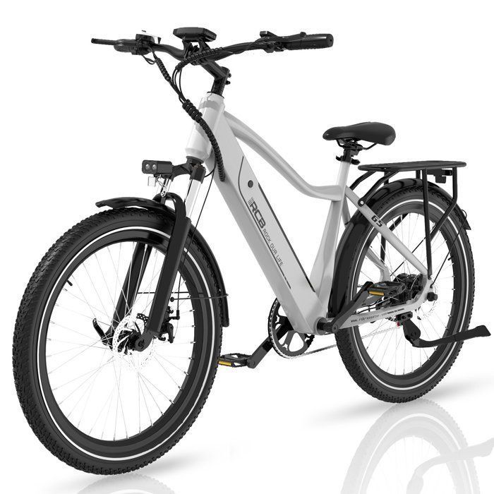 RCB G5 Vélo Électrique 275 480W 36V 13Ah Jusquà 80 km 38Nm Capteur de Couple 7 VitessesArgent