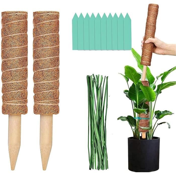 5 Supports Plantes Grimpantes Métalliques Dorés - Tuteurs Intérieur/Extérieur Pour Pots