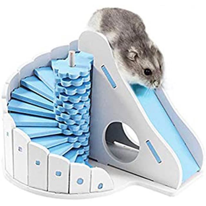 Jouet Pour Animal Domestique Petit 