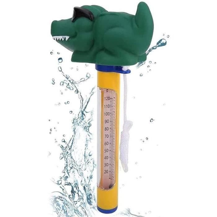 2pcs Flottant Thermomètre De Piscine Thermomètres De Température De L