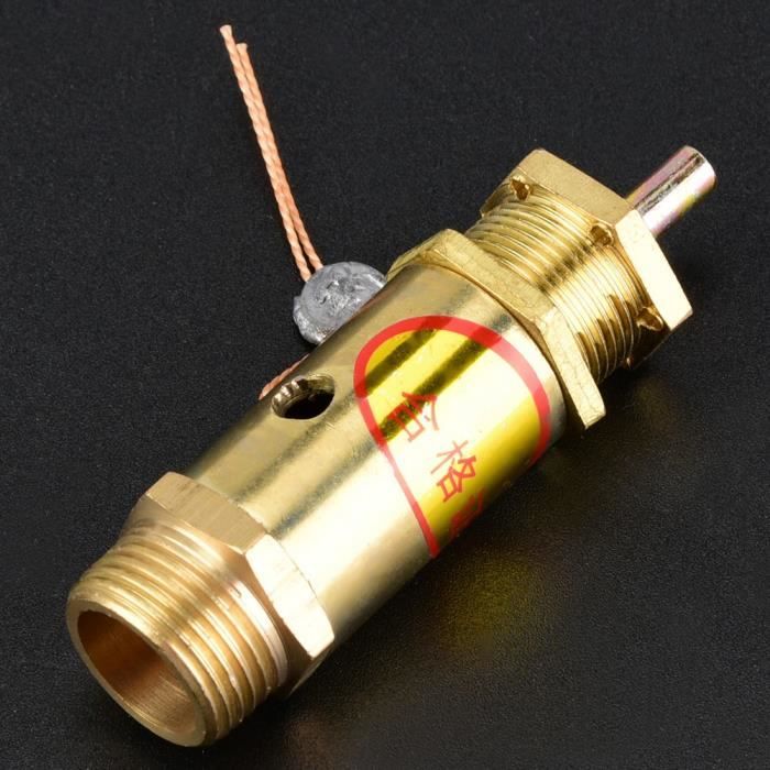 Soupape De Sécurité Haute Température Pour Nettoyeur Vapeur Orsen - Compatible Modèles WJ538/WJ528