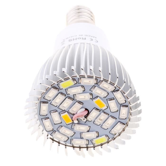 Ampoule de croissance LED pour serre, lampe Phyto E14, lumière