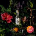 Coffret pour Cocktail - Kit Coffret Gin Fait maison - Coffret Alcool DIY Gin Recette Epices & Herbes - Coffret Cadeau Homme Original-2