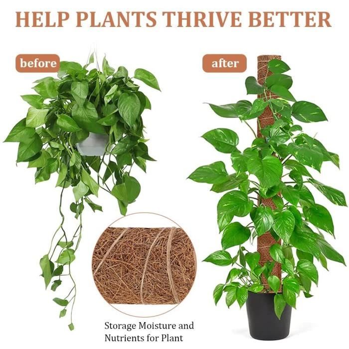 Tuteur plante : comment bien choisir ?