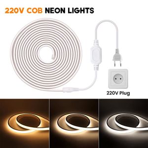 Ruban LED COB 2 Mètres étanche IP67 - 220V Puissant Avec Prise - Éclairage Extérieur Moderne
