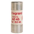 Cartouche Enedis cylindrique 22x58mm AD 30 - LEGRAND - 015230-0
