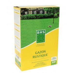 GAZON NATUREL Gazon rustique - BHS - Boîte de 3 kg - Résistant a