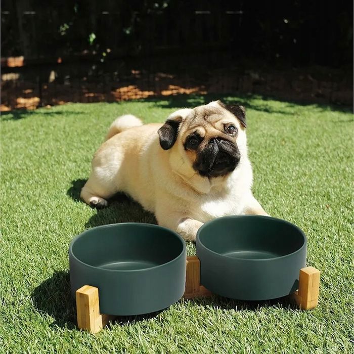 Meilleurs prix pour Gamelle en céramique pour chiens et chats double 2 x 850 ml