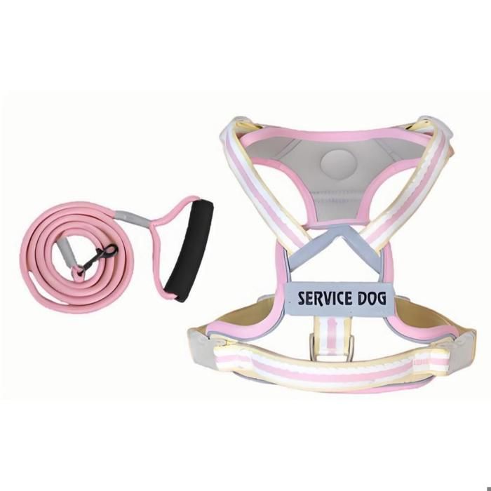 Meilleurs prix pour Harnais jaune - Laisse réfléchissante anti-fuite pour caniches corgis et petits chiens