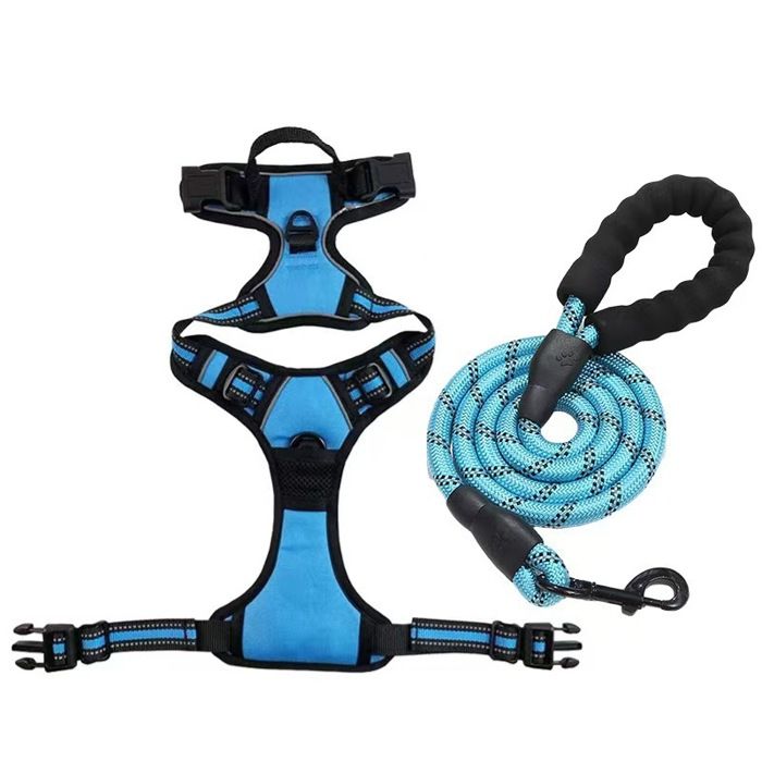 Harnais Anti-Traction pour Chien avec Laisse Harnais Réfléchissant pour Entraînement et Promenade Taille S