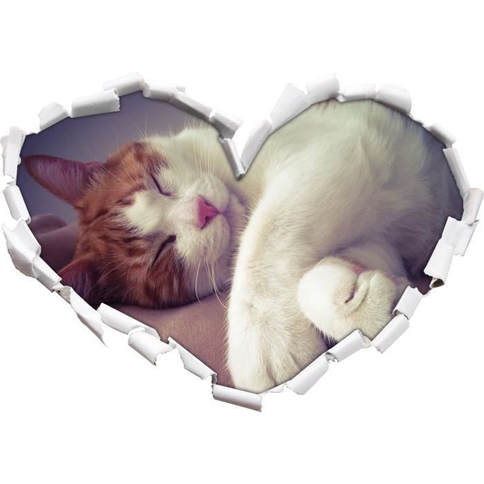 Chat Avec La Forme Des Pattes De Coeur Dans Le Regard 3d Mur Ou Un Autocollant De Porte Format 62x43 5cm Stickers Muraux Stic Cdiscount Maison Chat Avec La Forme Des Pattes De Coeur Dans Le Regard 3d Mur Ou Un Autocollant De Porte Format 62x43 5cm Stickers Muraux Stic Cdiscount Maison