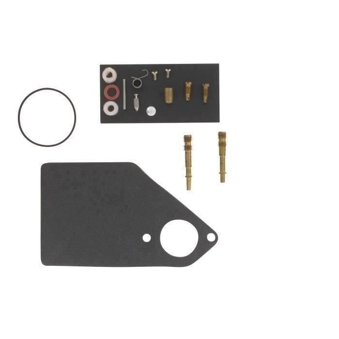 Kit de réparation carburateur adaptable BRIGGS & STRATTON pour moteurs 176400, 192400, 196400, 19740