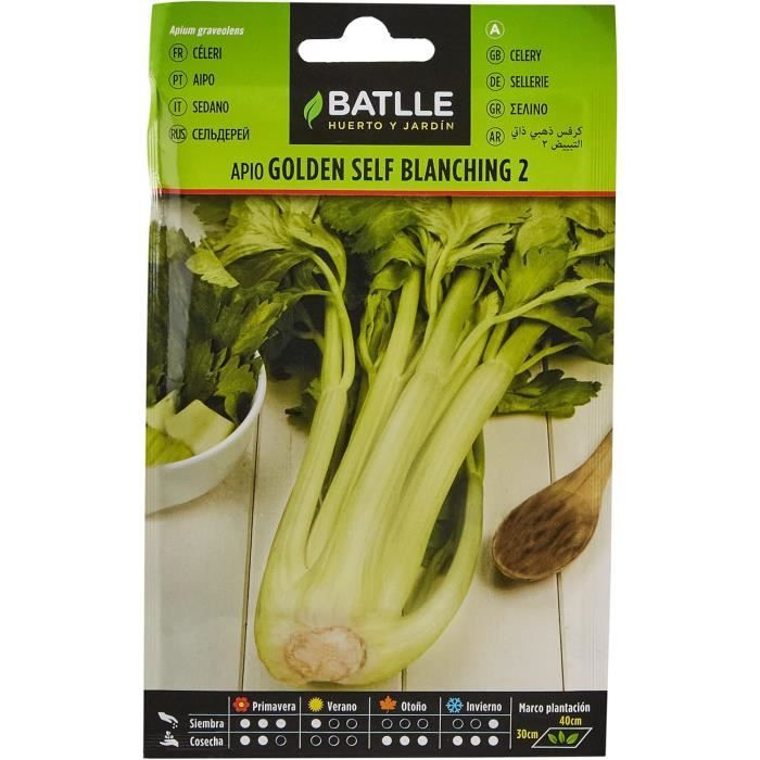 Graines De Céleri Doré Self Blanching Batlle – Sachet De 10 000 Graines – Jaune, Récolte Après 200 Jours