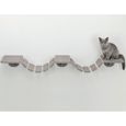 Échelle d'escalade murale pour chats TRIXIE - 150x30 cm - Taupe en bois massif et sisal-1