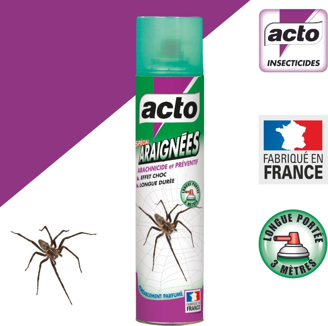 Raid Aérosol Anti-Fourmis, Araignées & Cafards - 400ml - Effet Barrière 4 Semaines
