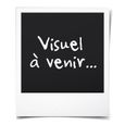 MOYEU DE ROUE 4x Logo Jante Argent 69 mm Cache Moyeu Centre De Roue Emblème 4L0601170 LBQ59-2