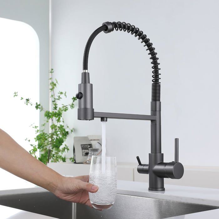 TRIEBAN Robinet d'évier 3 en 1 - Filtre à eau de cuisine - Robinet 3