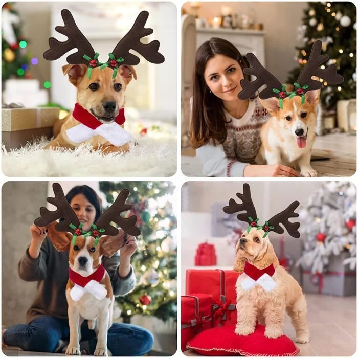 Costume De Renne Pour Chien - Bandeau En Bois Avec Bois De Cerf - Taille Unique Réglable - Noël