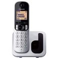 Téléphone Fixe Sans Fil Panasonic - KX-TGC210 - Argent - Répertoire 50 numéros - Réduction du bruit-0