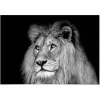 Tableau Panorama Lion Noir et Blanc 70x50 cm - Imprimée sur Toile - Tableau Animaux