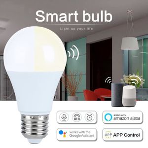 Ampoule LED GU10 Connectée RGBW, Ampoule Intelligente WiFi Connecée Alexa  et Google Home, 2 pcs (4.5W = 50W, RGB and Blanc Cha[95] - Cdiscount  Bricolage